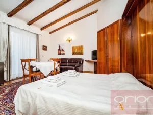 Pronájem bytu 1+kk, Praha - Vinohrady, Italská, 49 m2