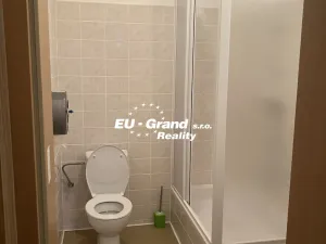 Pronájem atypického bytu, Varnsdorf, 5. května, 151 m2