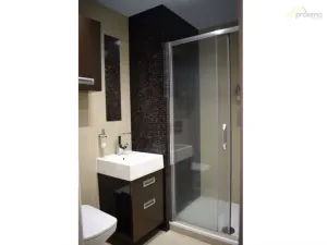 Pronájem bytu 1+kk, České Budějovice - České Budějovice 2, Fr. Ondříčka, 29 m2