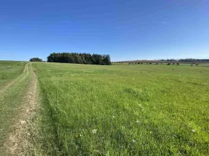 Prodej pole, Křešín, 6536 m2