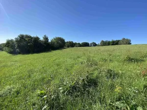 Prodej pole, Křešín, 6536 m2