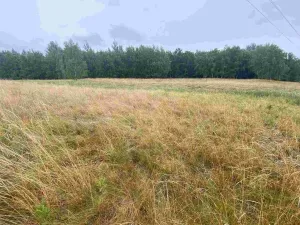 Prodej pole, Nové Sedlo - Loučky, 49321 m2