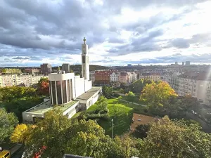 Pronájem bytu 2+1, Praha - Vršovice, náměstí Svatopluka Čecha, 55 m2