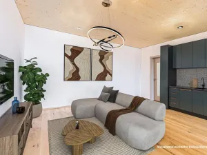 Prodej bytu 2+kk, Pardubice - Pardubičky, Nová Tesla, 48 m2