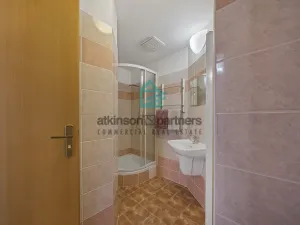 Prodej bytu 4+1, České Budějovice - České Budějovice 3, U Trojice, 116 m2