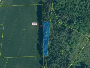 Dražba lesa, Hradiště, 645 m2