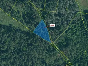 Dražba lesa, Hradiště, 1028 m2