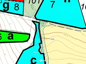 Dražba lesa, Kuřimany, 875 m2