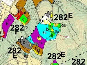 Dražba lesa, Lhota Rapotina, 1938 m2