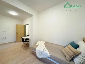 Prodej bytu 1+kk, Brno, Francouzská, 22 m2