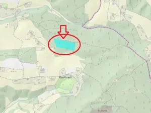 Prodej lesa, Havlovice, 13402 m2