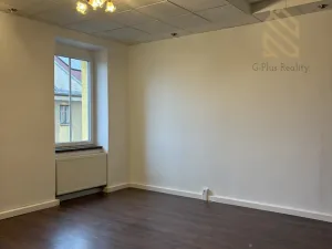 Prodej bytu 3+1, Ústí nad Labem - Ústí nad Labem-centrum, Králova výšina, 105 m2