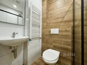 Pronájem bytu 1+1, Velké Březno - Valtířov, 47 m2