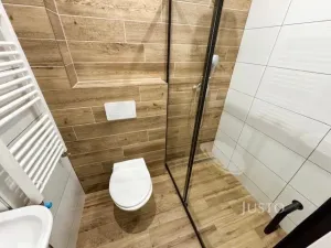 Pronájem bytu 1+1, Velké Březno - Valtířov, 47 m2