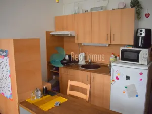 Pronájem bytu 1+kk, České Budějovice, Pekárenská, 22 m2