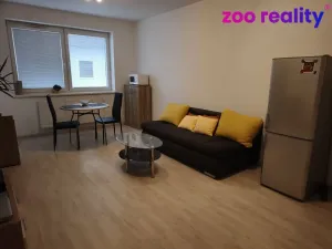 Pronájem bytu 2+kk, České Budějovice, B. Smetany, 46 m2