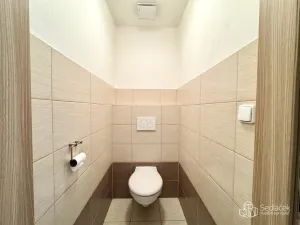 Pronájem bytu 3+kk, Karlovy Vary - Rybáře, Lad. Koubka, 67 m2