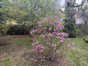 Prodej rodinného domu, Chodov, Nejdecká, 500 m2