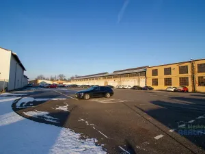 Pronájem pozemku, Brandýs nad Labem-Stará Boleslav, Pražská, 4800 m2