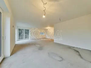 Prodej rodinného domu, Mladé Buky - Hertvíkovice, 282 m2