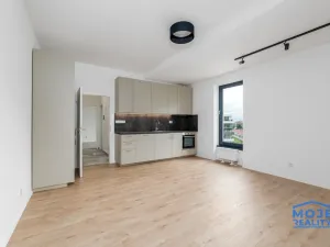 Pronájem bytu 3+kk, Plzeň - Jižní Předměstí, Železná, 59 m2