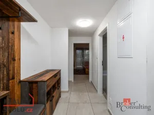 Pronájem bytu 2+kk, Plzeň - Východní Předměstí, Papírnická, 57 m2