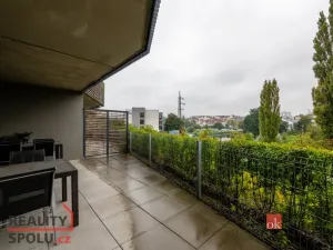 Pronájem bytu 2+kk, Plzeň - Východní Předměstí, Papírnická, 57 m2