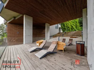 Pronájem bytu 2+kk, Plzeň - Východní Předměstí, Papírnická, 57 m2