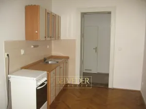 Pronájem bytu 1+1, Teplice, U Hadích lázní, 44 m2