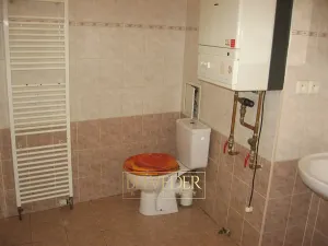 Pronájem bytu 1+1, Teplice, U Hadích lázní, 44 m2