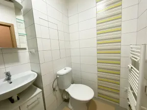 Pronájem bytu 1+kk, Praha - Vršovice, Sevastopolská, 33 m2