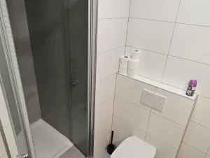 Pronájem bytu 1+1, Brno - Černá Pole, Krkoškova, 35 m2