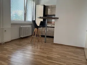 Prodej bytu 1+kk, Ostrava, Heleny Salichové, 27 m2