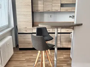 Prodej bytu 1+kk, Ostrava, Heleny Salichové, 27 m2