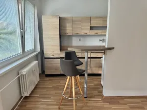 Prodej bytu 1+kk, Ostrava, Heleny Salichové, 27 m2