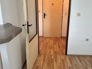 Prodej bytu 1+kk, Ostrava, Heleny Salichové, 27 m2