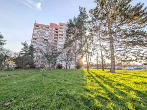 Prodej bytu 3+1, Praha - Strašnice, Přetlucká, 76 m2