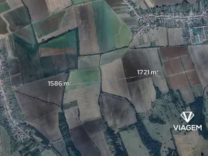 Prodej pole, Kněždub, 3307 m2