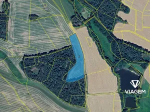 Prodej podílu pole, Chanovice, 7143 m2