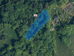 Dražba lesa, Semily, 1939 m2