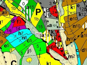 Dražba lesa, Jílové u Držkova, 3821 m2