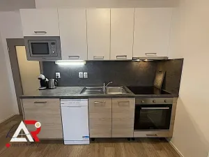 Prodej bytu 1+kk, Brno, Turgeněvova, 40 m2