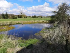 Prodej pozemku pro bydlení, Radomyšl, 10800 m2