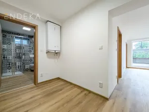 Prodej bytu 2+1, Brno, Kobylín, 53 m2