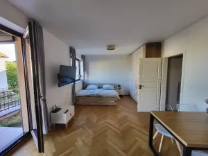 Prodej bytu 1+kk, Tábor, Bechyňská, 38 m2