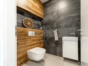 Pronájem rodinného domu, Králův Dvůr - Levín, Na Vyhlídce, 201 m2