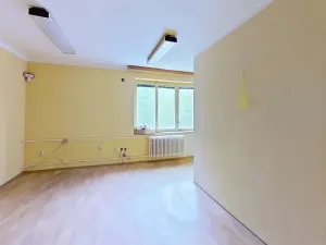 Pronájem obchodního prostoru, Třebíč - Borovina, 560 m2