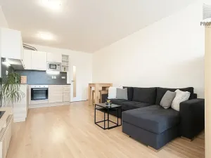 Prodej bytu 1+kk, Brno, Řípská, 45 m2