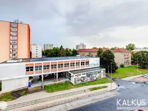 Prodej bytu 3+1, Kladno, Vrchlického, 78 m2