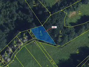 Dražba lesa, Spešov, 400 m2